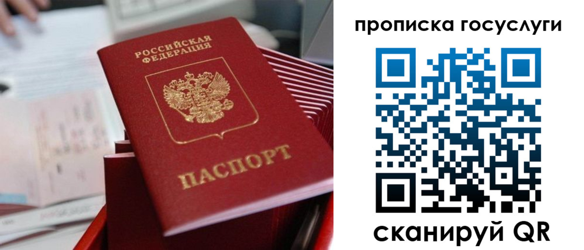 прописка законно в Десногорске